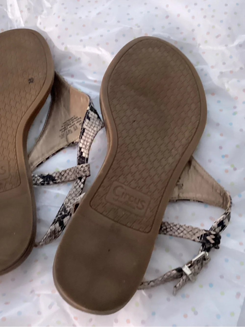Circus by Sam Edelman Faux Snake-Print Thong Sandals in Brown and Beige